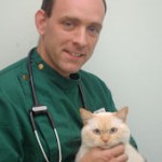 Vet Duncan Reavell Picture: http://www.lynwoodvets.co.uk/branches/wimborne/veterinary-surgeons.shtml