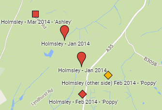 map-place-date-dogs-name