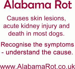 alabamaRot-recognise-the-symptoms