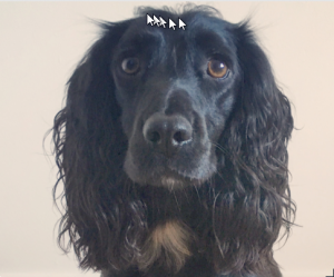 pippa-jessica-worthington
