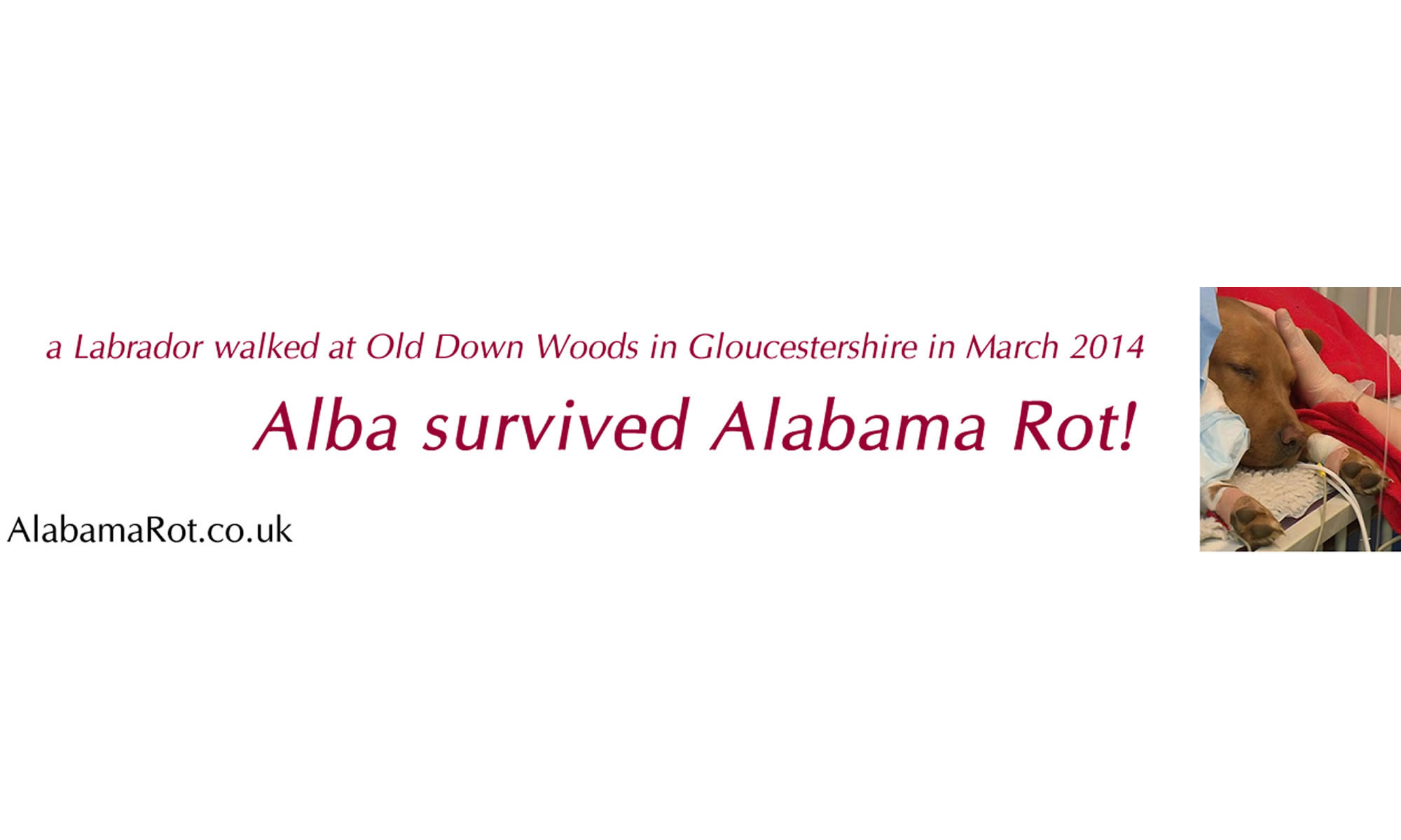 AlabamaRot.co.uk